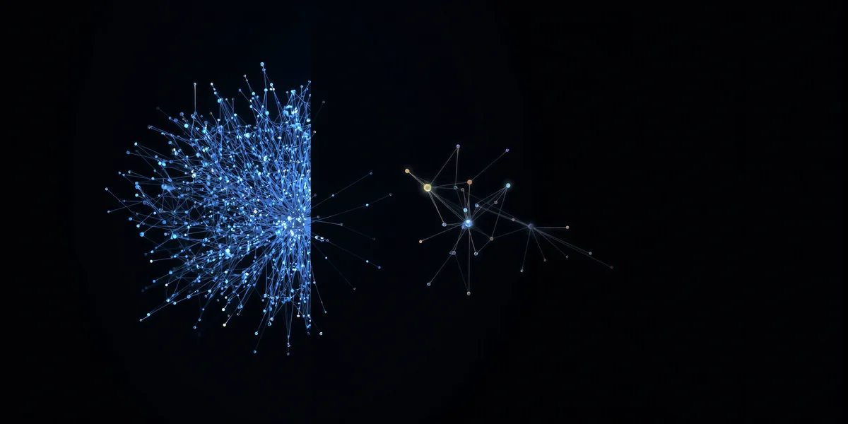 Hình ảnh so sánh một mạng nơ-ron trước và sau khi cắt tỉa. Bên trái là một mạng lưới kết nối dày đặc, bên phải là mạng lưới đã được tỉa bớt, gọn gàng hơn.